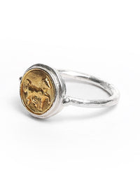 Ring with a horse