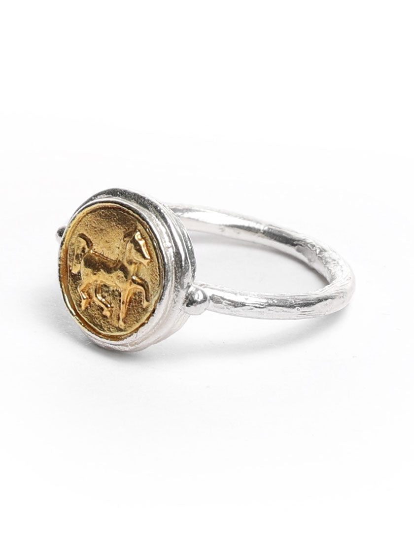 Ring with a horse