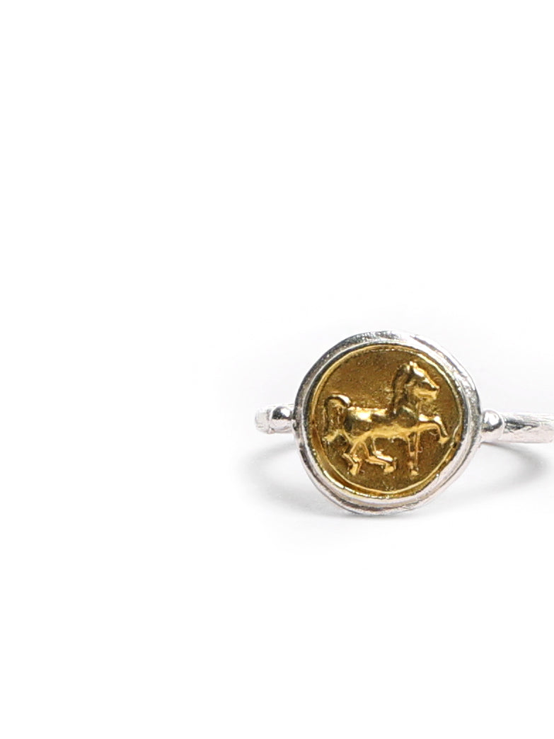 Ring with a horse
